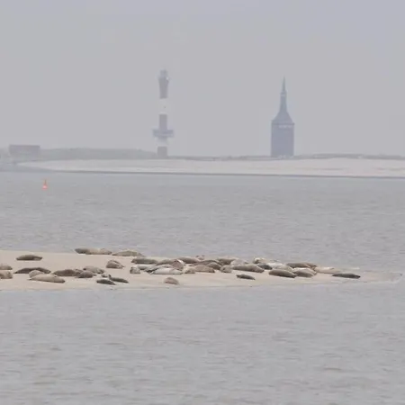 Dom wakacyjny Little Beach Flea Comfortable Holiday Wangerooge